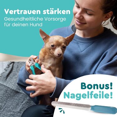 Ножиці для грумінгу собак та котів з високоякісним стопором для захисту від забруднень - включаючи стабільну фіксацію, професійні ножиці з міцної нержавіючої сталі