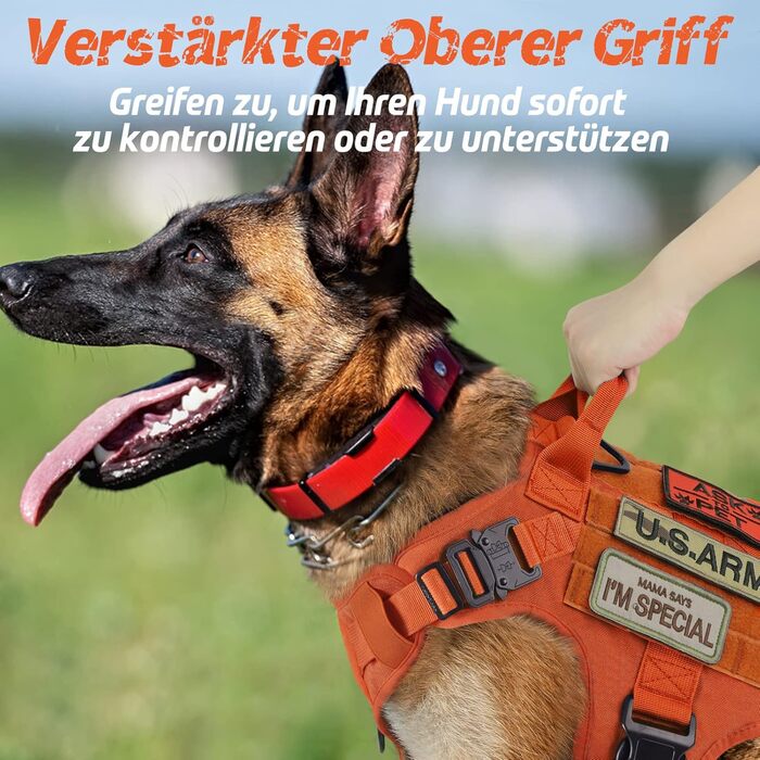 Нагрудник для собак Rabbitgoo великих порід, без натягу, тактичний з MOLLE, металеві пряжки, дихаючий, військовий, регульований, з підкладкою, L (1 шт), помаранчевий