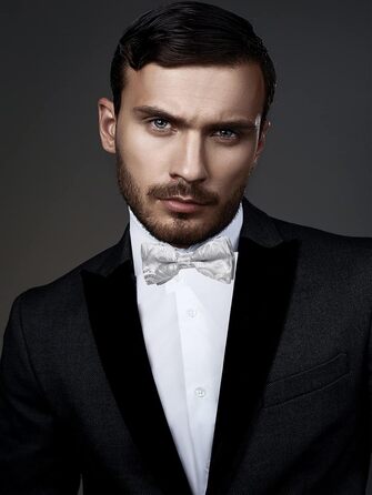 Метелик DiBanGu з шовку Пайслі для чоловіків + нагрудна хустинка, краватка-метелик, комплект для весілля, вечірки, балу (Срібний 194)