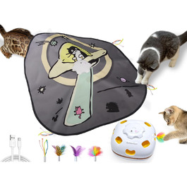 GoldenSun Cat Toy, Rechargeable, Interactive 4-in-1 Toy for Indoor, Hide-and-Seek Toy for Kittens, Whack-a-Mole Motion, Electronic Cat Toy for Exercise (Space Cat)