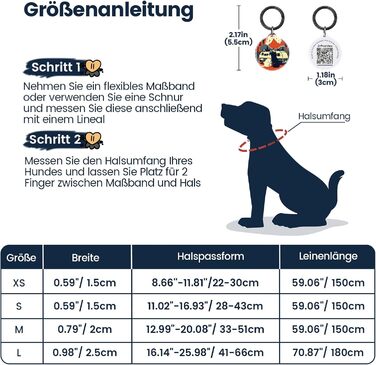 Набір повідка та нашийника для собак, регульований, чорний, S (28–43 см, 1.5 м)