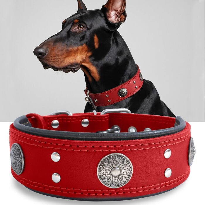 Leather Dog Collar, 5 cm Wide Robust Genuine Leather Collar, Handcrafted, Soft and Luxurious, Eye-Catching Best Choice for Large and Medium Dog Breeds (57-67.5 cm, red)