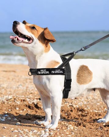 Шлейка для собак без тяги, не виривається, відбиваюча, регульована (Чорний, M) для малих та середніх собак, обхват грудей 53–70 см