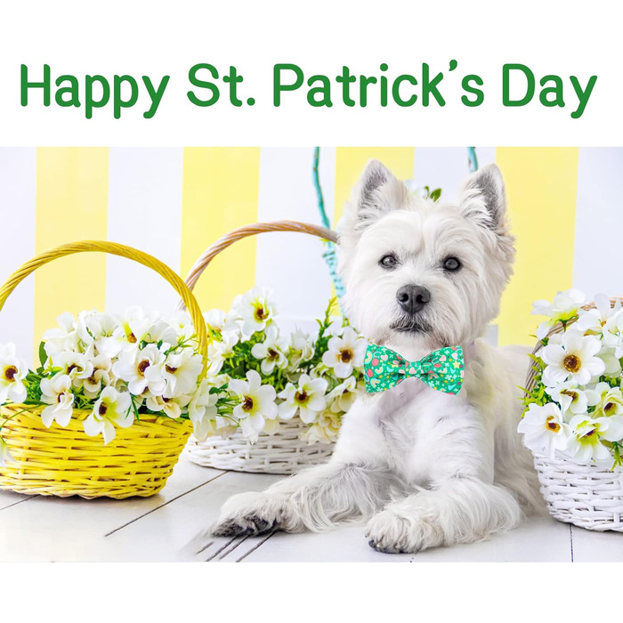 Нашийник для собак на День Святого Патріка з бантиком, зелений, з кишенькою, для дітей та дорослих, універсальний розмір, білий трилистник (S, райдужний трилистник)