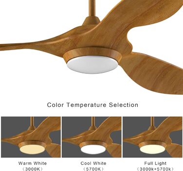 Стеляний вентилятор Reiga з підсвічуванням та пультом керування, 132 см, тихий реверсивний мотор, 6 швидкостей, таймер, регулювання яскравості та 3 колірні температури, світло-коричневі лопаті