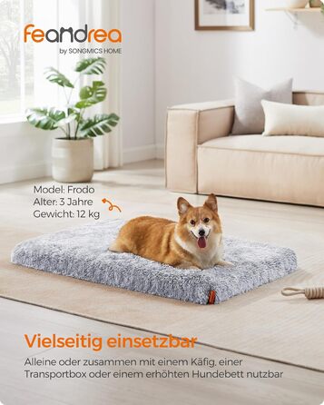 Feandrea Dog Bed, orthopedic dog cushion, padded with convoluted foam, removable and washable cover, size M, for small and medium dogs, 80 x 50 x 8 cm, PGW211G02 (L 95 x W 60 x H 8 cm, Ombré Gray)