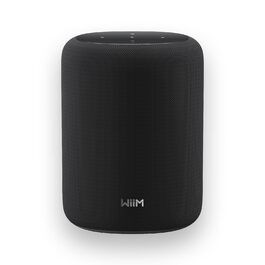 WiiM Sound Lite: Розумна колонка з Alexa, Wi-Fi 6E, Bluetooth 5.3, Hi-Res Audio (24-bit/192kHz), AI RoomFit, 100W, чорна