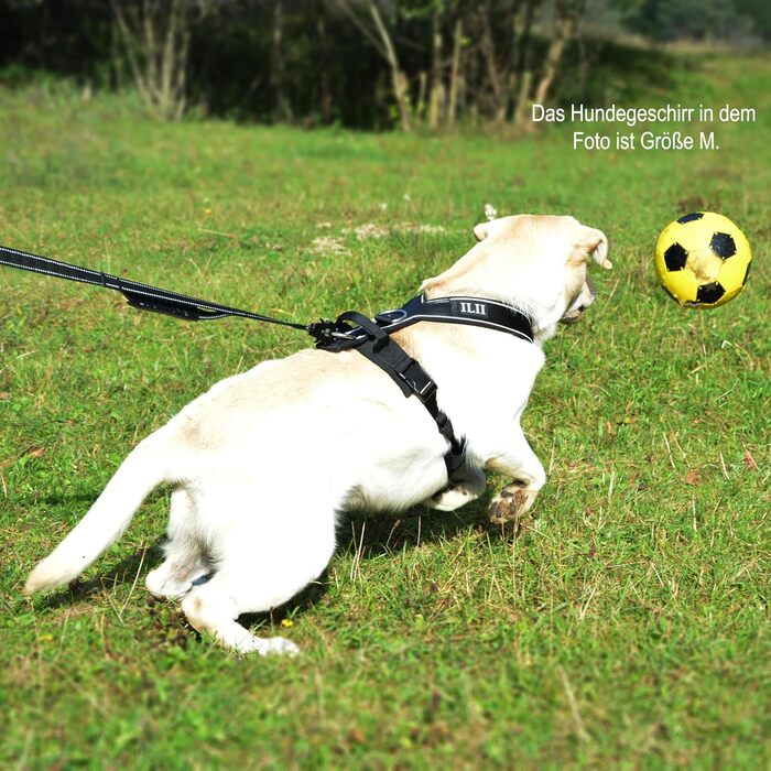 Нашийник для собак ILII Y - міцний, елегантний та комфортний. Унікальний дизайн для середніх та великих собак. Чорний, мінімальне покриття