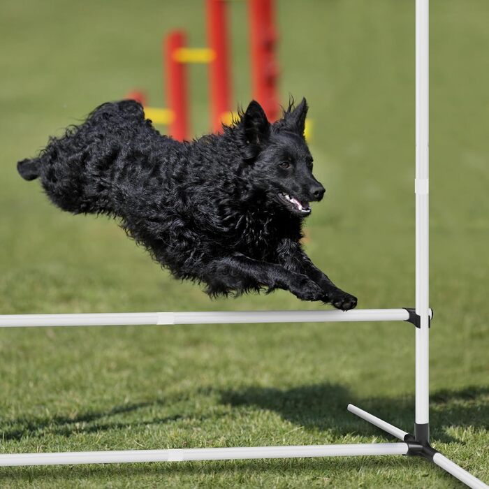 Набір для аджиліті для собак Grün 4X: набір шлагбаумів, регульована висота, 104x70x101 см