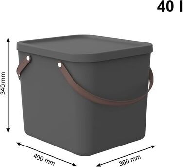 Rotho Albula Storage Box 40l with Lid, Plastic (Recycled PP), Green, 40l (40.0 x 40.0 x 34.0 cm) (Anthracite)