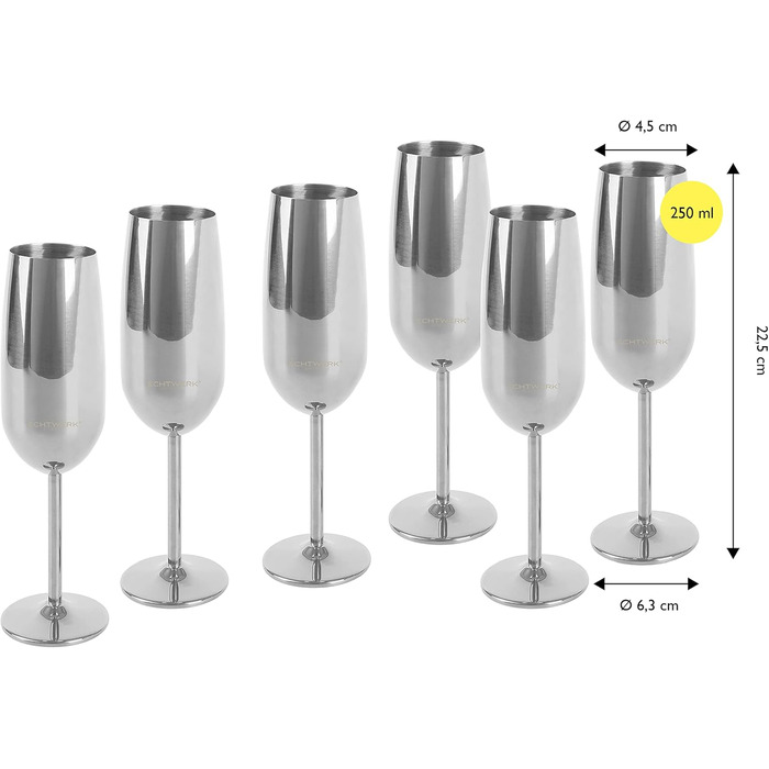 Набір келихів для шампанського та шампанського з нержавіючої сталі, 6 шт., 250 мл, сріблястий, для вечірок, свят, пікніків, подарунок