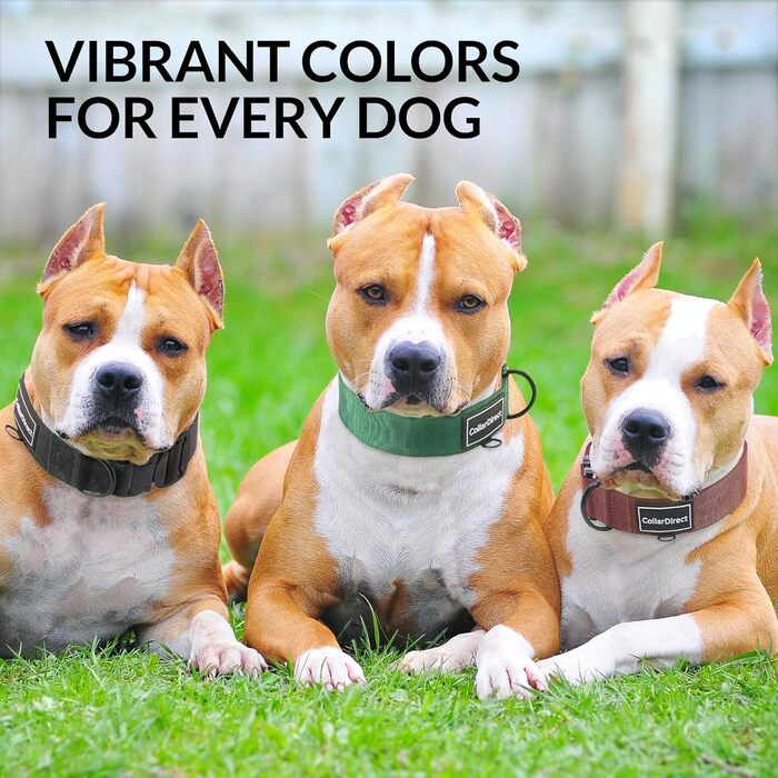 Міцний нашийник для собак великих та середніх порід – регульований, двошаровий нейлон, металева застібка, стійкий до розривів, ідеальний для активних собак (Чорний, Великий (38-58 см))