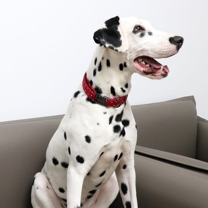 Нашийник для собак Unique Tyle Paw, регульований, м'який та зручний, в клітинку, для собак маленьких, середніх та великих порід, обхват шиї 25,4–40,6 см (M, Червоний)