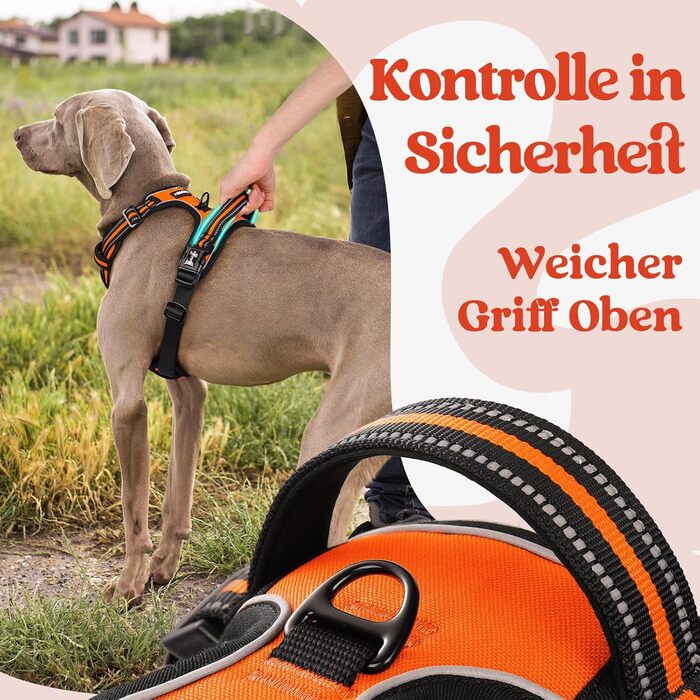 Нашийник для собак Rabbitgoo великих порід, регульований, анти-тяга, з ручкою, м'який, світловідбиваючий, помаранчевий, L (1 шт.)