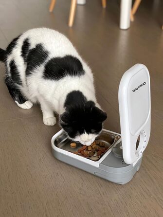 Автоматичний годівниця для котів та маленьких собак Closer Pets C100 з таймером – до 400 г, з нержавіючою чашею