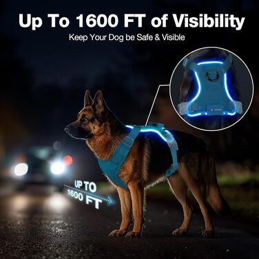 Світлодіодна шлейка для собак з підсвічуванням LED, перезаряджувана, для малих, середніх та великих собак, світловідбиваюча, регульована, XL (Чорний, Medium)