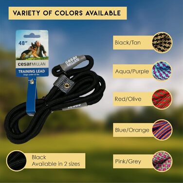Leine - Training lead for dogs - 2in1 dog collar and leash - Slip lead - Retriever lead with integrated collar (Small/Medium - Color: Black/Yellow) - Length 120 cm, Diameter 1 cm