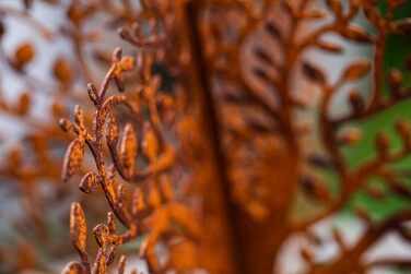 Bornhöft Metal Rust Garden Decor, Patina Rust, Rusty Garden, Rust Decor, Tree, Tree of Life, Garden Decor, Patina Rust, Table Decor, Metal Rust Look (Tree Large)