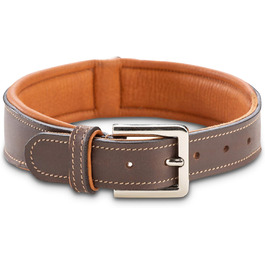 Нашийник для собак Джек Рассел Тірріер Amy - шкіряний нашийник з натуральної шкіри, з підкладкою та міцний - двошаровий нашийник для собак маленьких, середніх та великих порід (M, Коричневий) M (37.0-44.0 см)