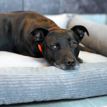 4L Textil М'яке ліжко-гніздечко для котів та собак, гніздо-лежанка, кошик для котів, лежанка для собак, для цуценят, сірий (60x40 см), 60 x 40 x 15 см