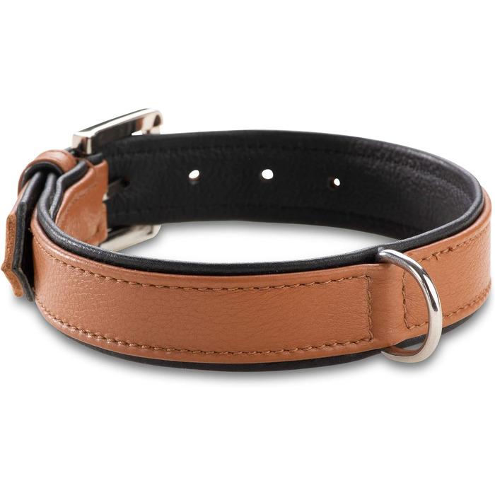 Преміум шкіряний нашийник для собак Jack Russell Lilly - нашийник з натуральної шкіри Kalbleder (S, Коричневий/Чорний) - розмір S, обхват 32-39,5 см