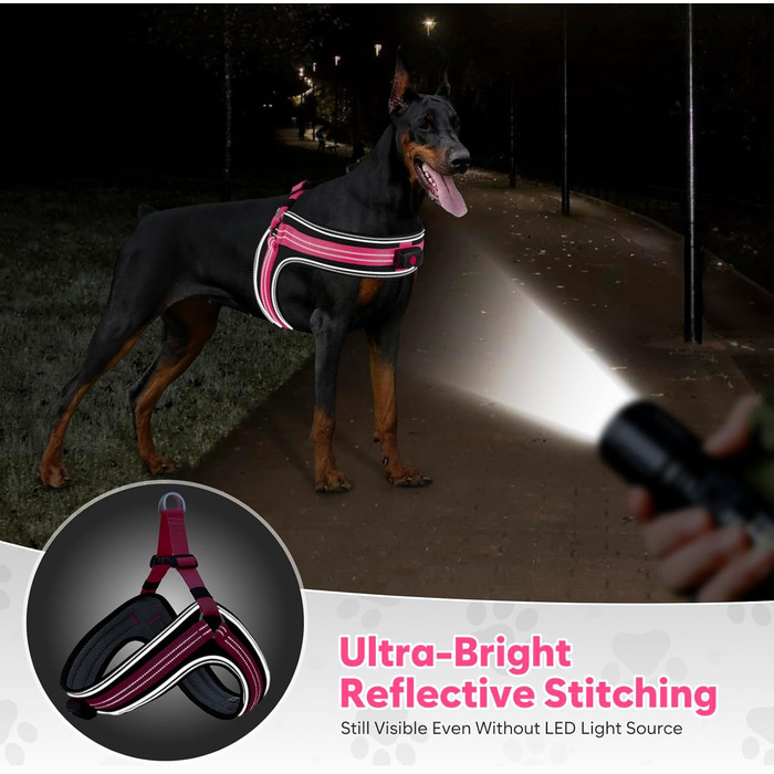 Світловідбиваючий жилет для собак BiPawTi середнього розміру, перезаряджається, жилет для собак зі світлодіодами, 3 режими світіння - світиться в темряві, шлейка для собак, для прогулянок, зелене світло (рожеве/червоне), XL