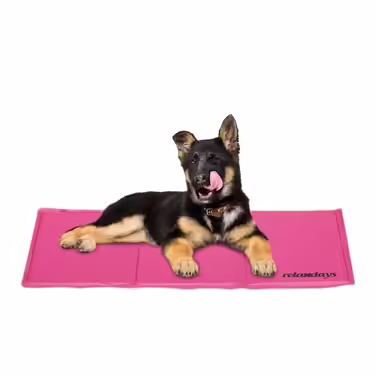 Relaxdays Cooling Mat for Dogs