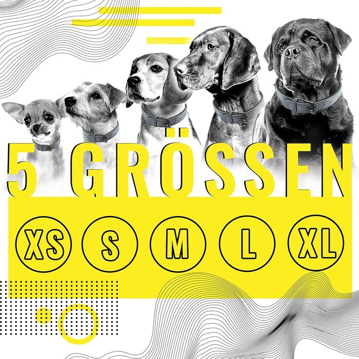 Набір повідка та нашийника ne&no® (веганська шкіра) для собак, 1.2м, блакитний/антрацит, регульований, з карабіном