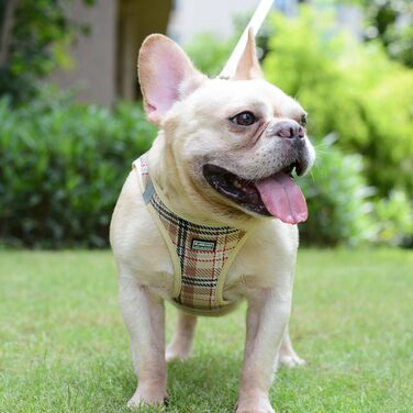 Шлейка для собак Suredoo для маленьких собак з повідком, анти-тягуча, світловідбиваюча, дихаюча, нагрудна шлейка, шлейка для цуценят (M, обхват грудей: 34-39 см) (Бежевий, XXS (обхват грудей: 22-24 см, вага: 1-1.5 кг))