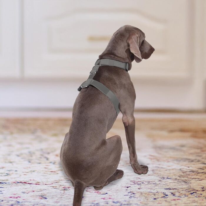 Шлейка для собак FEimaX для великих собак, тактична, не тягне, дихаюча, комфортна, сіра, міцна