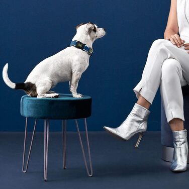 Нашийник для собак HUNTER HILO VARIO BASIC, блакитний, розмір M-L, дихаючий, світловідбиваючий