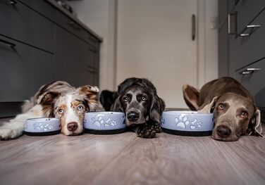 Миска для собак маленьких, середніх та великих порід, нековзна, об'єм 1010 мл, сіра (M)