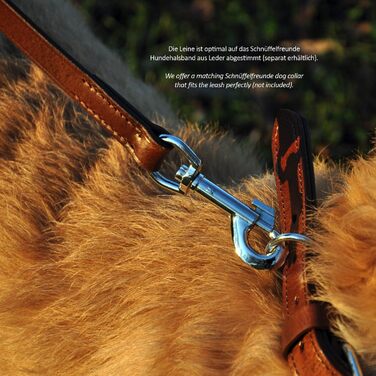 Leather Dog Leash - Training Leash - Leather Leash for Dog - Leash 3-Way Adjustable, for All Dogs (230cm, Green)