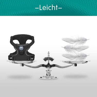 Шлейка для собак PoyPet з м'якої сітки, світловідбиваюча, регульована, чорна (M)