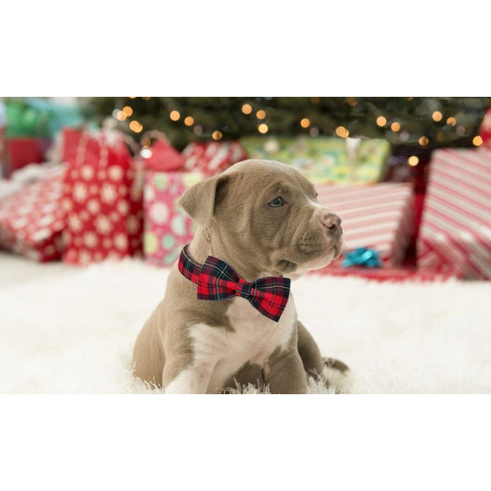 Нашийник для собак Lionet Paws на Halloween з метеликом, бавовна, XL, 34-55 см, для собак