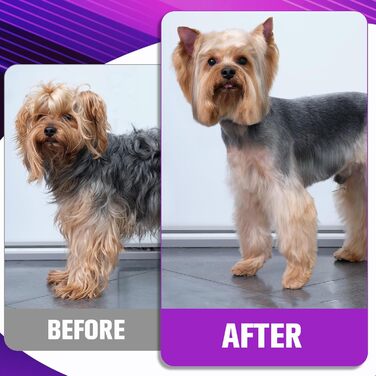 Набір професійних ножиць для грумінгу собак 5шт (фіолетовий)