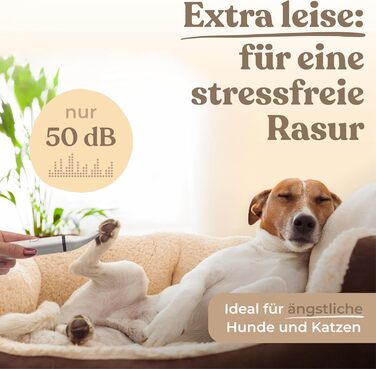 Триммер для собак та котів Profi: тиха машинка для стрижки лап, вух та шерсті. Потужний акумулятор, USB-C зарядка