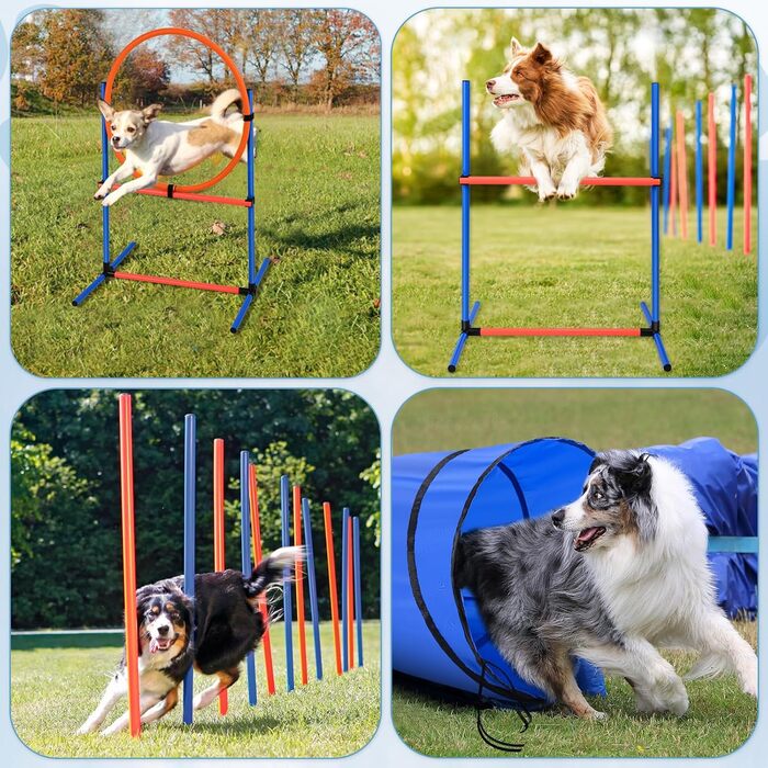 Набір для аджиліті для собак 70 елементів: 8 шлагбаумів, стрибкова петля, м'яч, ящик для перерви, сумка для ласощів, переносна сумка. Розвиває інтелект.