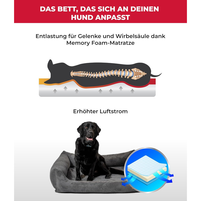 Ортопедичне ліжко для собак HS-Hundebett® Deluxe Cord, 70x90 см, зелене, великі породи, зручне, знімний чохол, миється, антиковзаюче покриття, з Німеччини