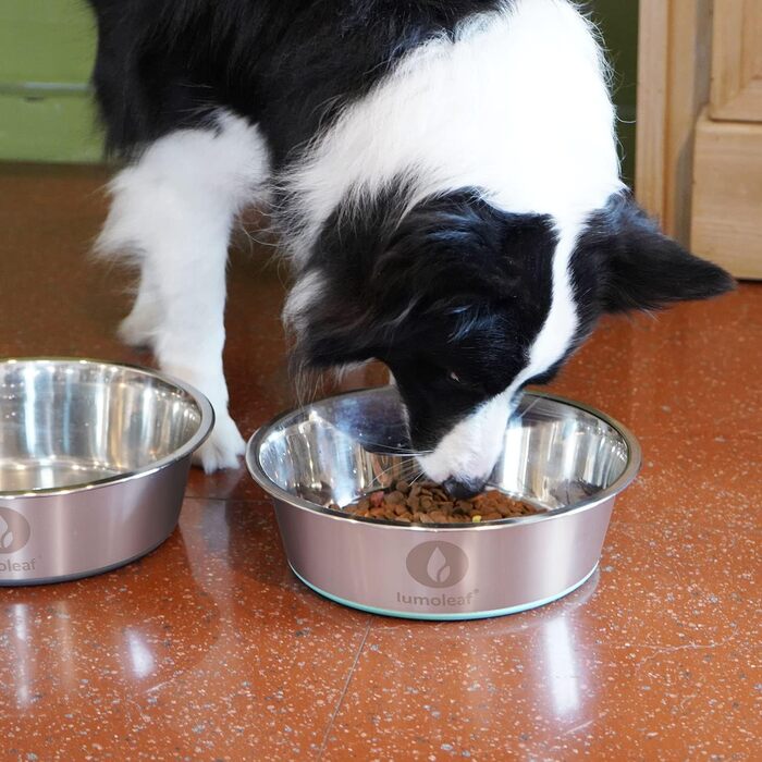 Миска для собак LumoLeaf з нержавіючої сталі, велика, 2 шт по 3000 мл, з неслизьким силіконовим дном, для великих і середніх собак, миска для води та корму, придатна для миття в посудомийній машині (подвійний набір)