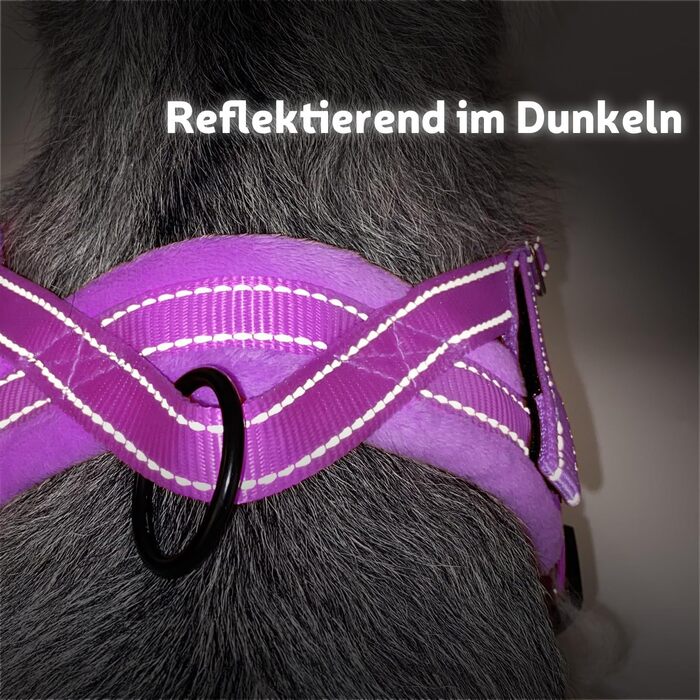 Шлейка для собак SlowTon з поводом, анти-тягнуча, регульована, світловідбиваюча, для цуценят та собак малих та середніх порід, безпечна, запобігає задушливості, зелена (XXS, фіолетова)