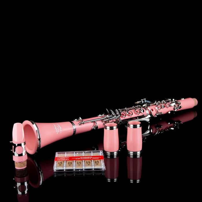 Професійна кларнет Glory GLY-CLAGN з ебоніту, Bb, з аксесуарами (10 вставок, стійка, кейс, серветка, щітки), зелений (рожево-сріблястий)