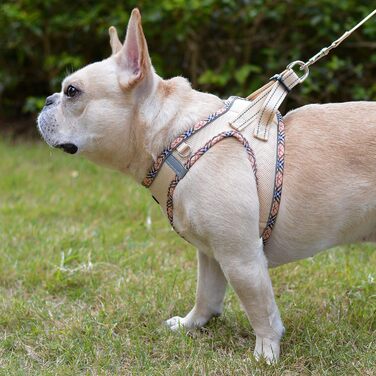 Шлейка для собак маленьких порід з повідком, Step-in шлейка, світловідбиваюча, дихаюча, для грудної клітки, анти-тяга, безпечна, шлейка для котів (Бежевий, S) S Бежевий