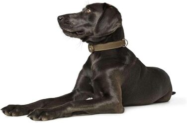 Нашийник для собак Hunter, шкіра нубук, міцний, м'який, розмір S-M, оливковий, 65 см