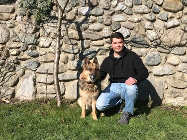 Набір для аджиліті для собак середнього розміру PfotenWunder®: 6 шлагбаумів, тунель, для тренувань, спорту та ігор. Підходить для малих та великих собак.