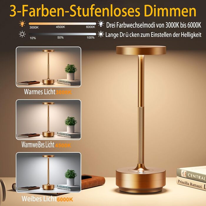 Настільна лампа бездротова LED для вулиці та дому IP54, акумулятор 5000mAh, димується, 3 кольори світла, зарядка від USB (Іржавий)