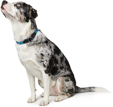 Нашийник для дрессури HUNTER FREESTYLE, червоний, розмір M. Міцний, з нейлоновим тросом, стійкий до погодних умов, для тренувань та повсякденного використання.