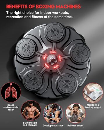 Adult Music Boxing Machine - LED Light Box Wall with Music Box, Boxing Gloves, Bluetooth Music Machine, 9 Adjustable Speeds for Kids