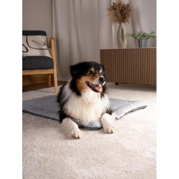 TrendPet Лежанка для собак і котів, двостороння, з підкладкою, сіра (50x35 см)