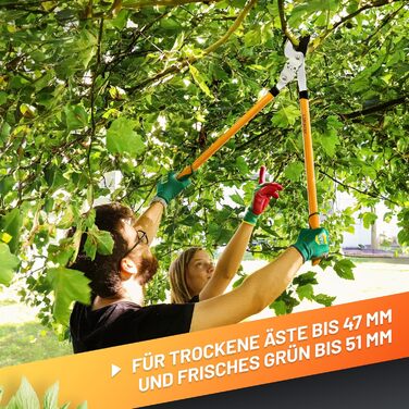 GRÜNTEK T-REX садові сучкорізи з лезами SK5, антипригарне покриття, 2-ступінчастий механізм, для сухої деревини, обрізки кущів та гілок